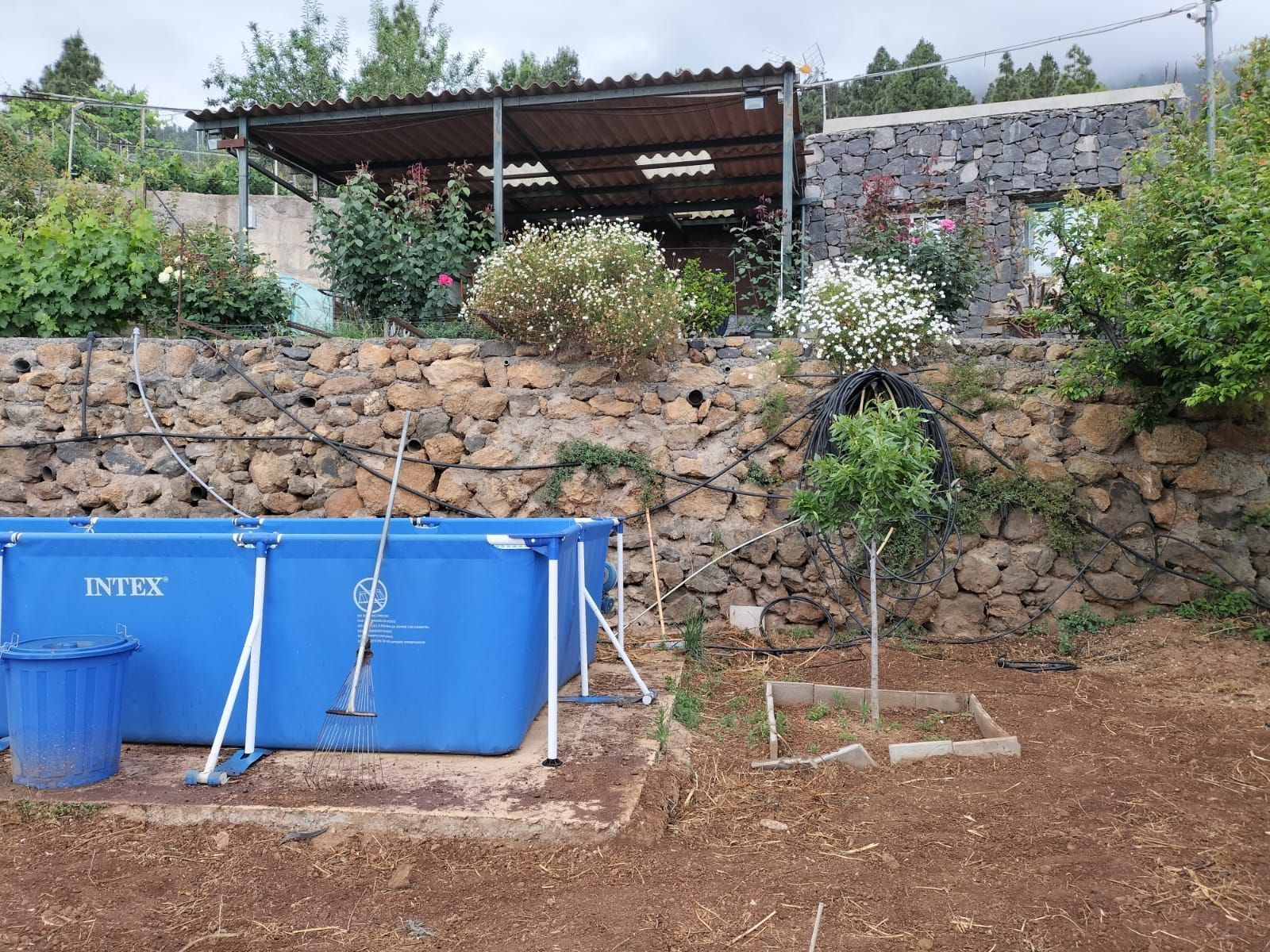 Terreno agricoli in Arafo, Arafo, vendita